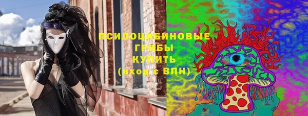 шишки Ачинск